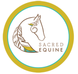 Sacred Equine - Balance, Strengthen, Heal. Whole Body Integration - for your horse.   Allison Wetter - Structural Integration Practioner